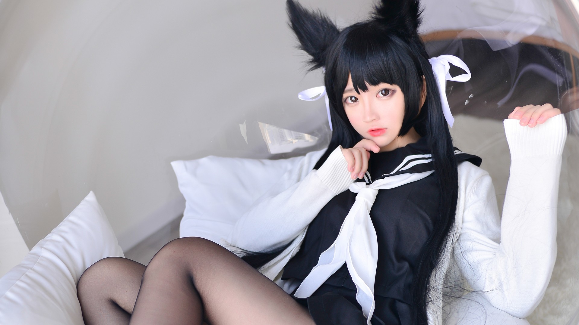 加冕鱼写真预览