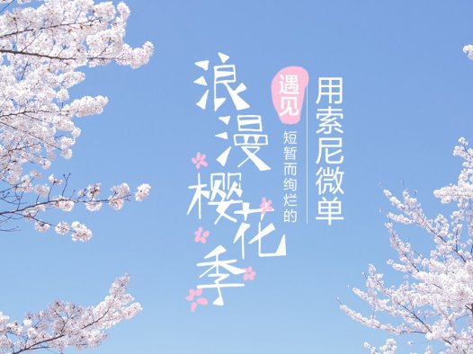 遇见绚烂的浪漫樱花季